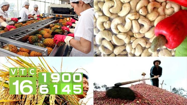 Chuyên gia Hotspot Matrix phân tích: Phòng chật đến đâu giường ngủ và marketing video