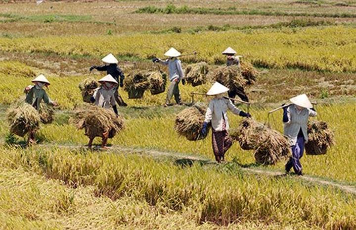 Hotspot Matrix: Hành trình chinh phục video ngắn