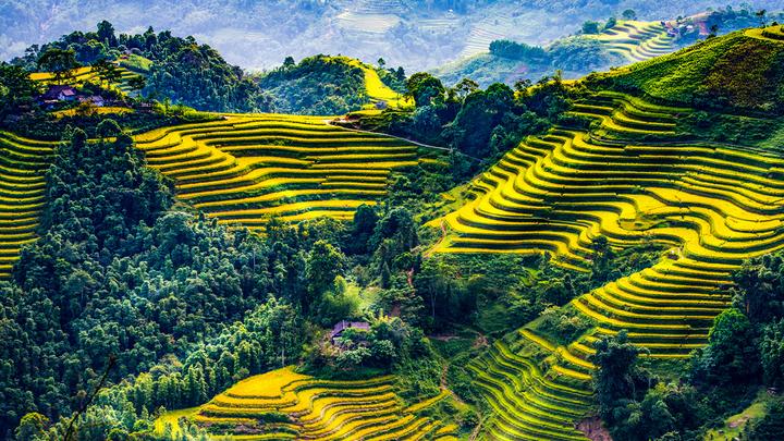 Xu hướng Sốc nặng với 
