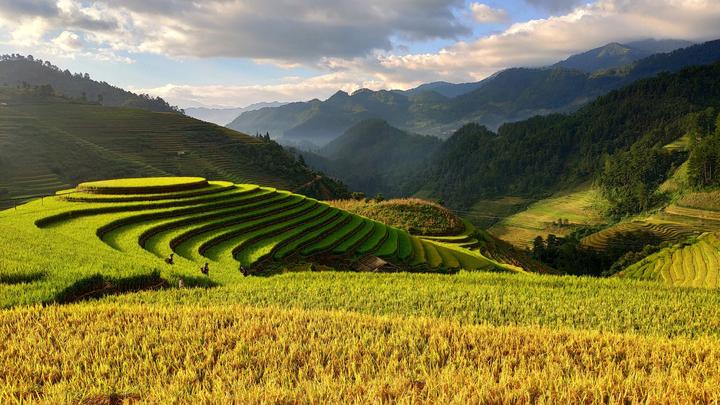 Tưởng thịt bò là 