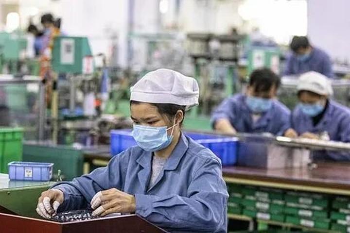 Chuyên gia Hotspot Matrix phân tích: Toàn bộ thông tin về BIGFA - và marketing video