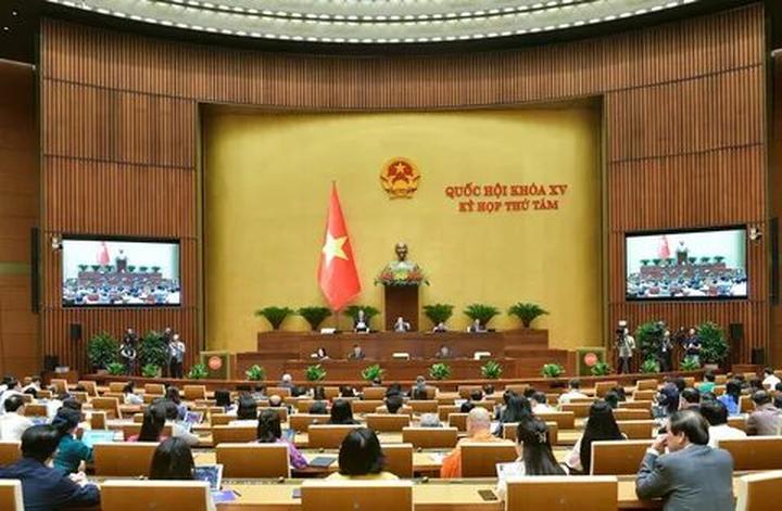 Bonobo: Nguồn Gốc Tiến Hóa Của Ngôn Ngữ Con Người?