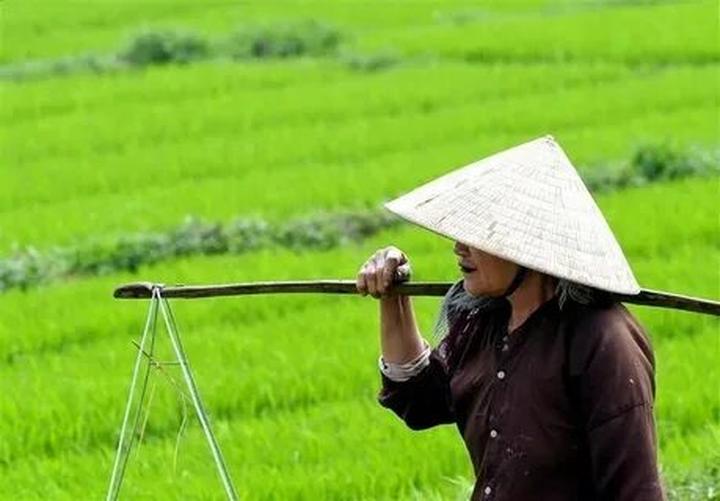Phân tích SWOT Hotspot Matrix: Triển vọng và Thách thức trong Thị trường Video Ngắn